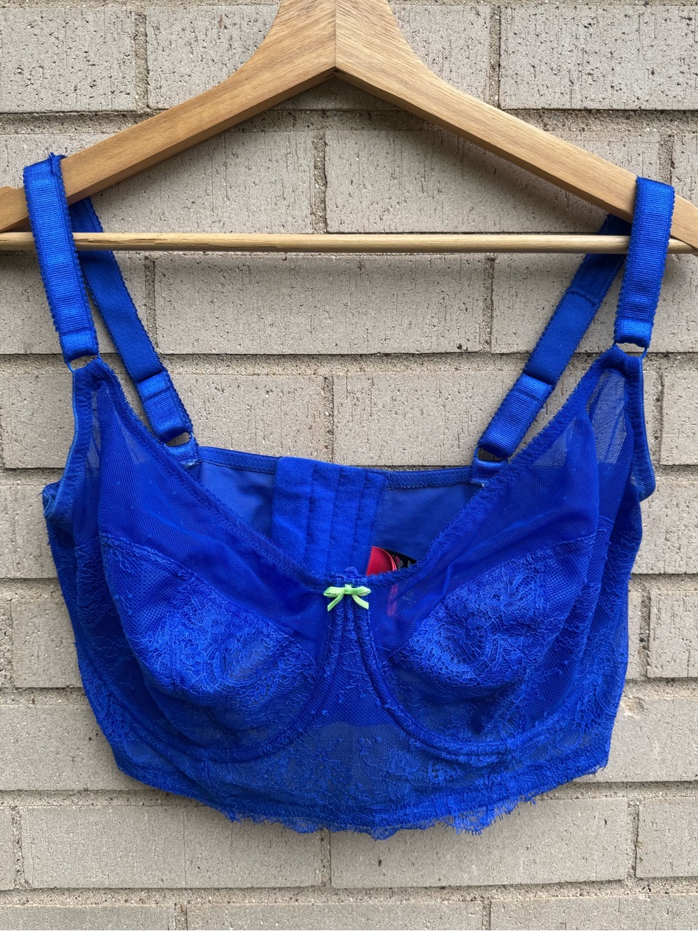Cleo by Panache Piper Cobalt Blue Lace Longline Mesh Unlined Bra Bow 36H